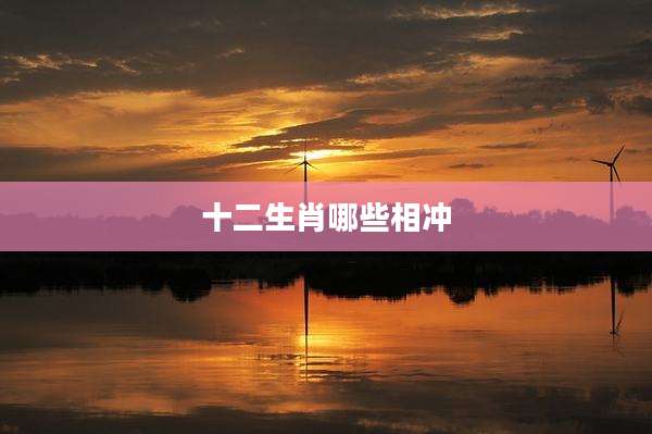 十二生肖哪些相冲