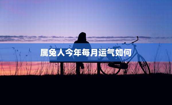 属兔人今年每月运气如何
