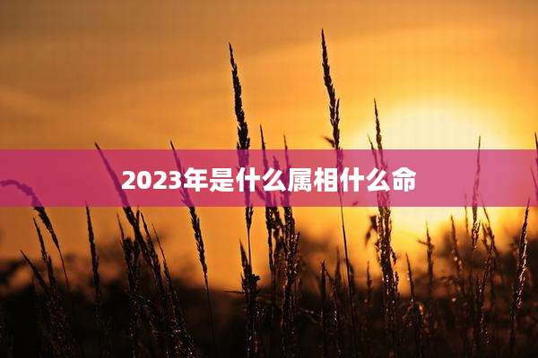 2023年是什么属相什么命