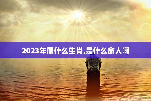 2023年属什么生肖,是什么命人啊