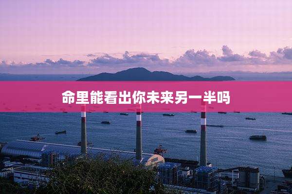 命里能看出你未来另一半吗
