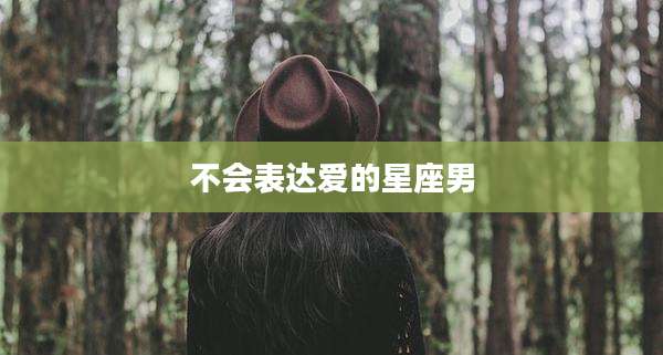 不会表达爱的星座男