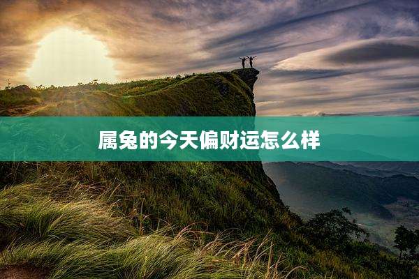 属兔的今天偏财运怎么样