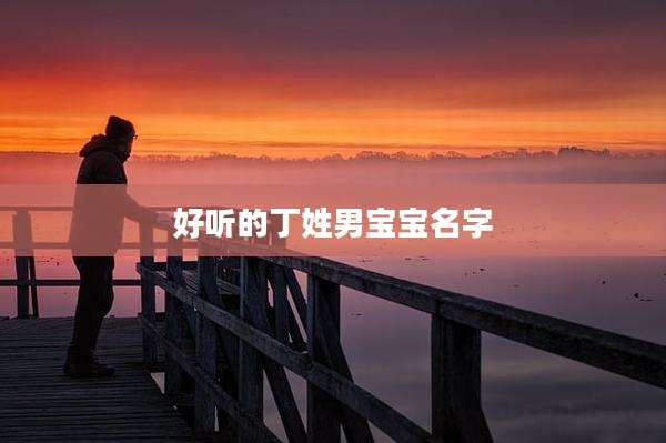 好听的丁姓男宝宝名字