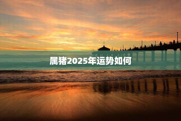 属猪2025年运势如何