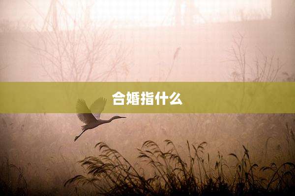 合婚指什么