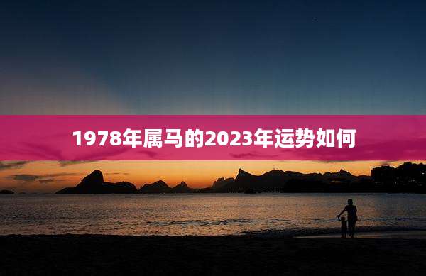 1978年属马的2023年运势如何