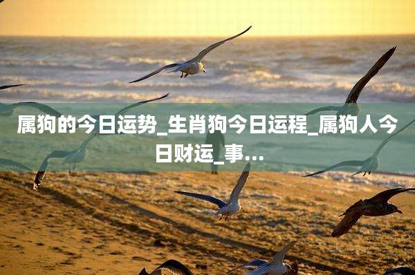 属狗的今日运势_生肖狗今日运程_属狗人今日财运_事...