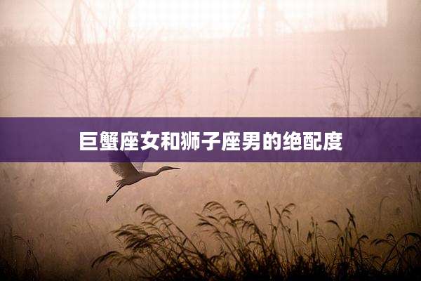 巨蟹座女和狮子座男的绝配度