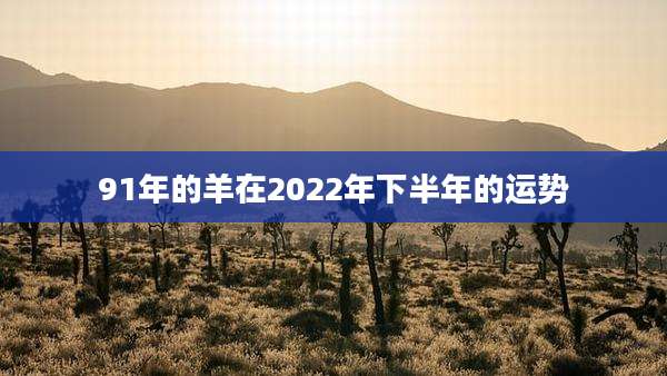 91年的羊在2022年下半年的运势
