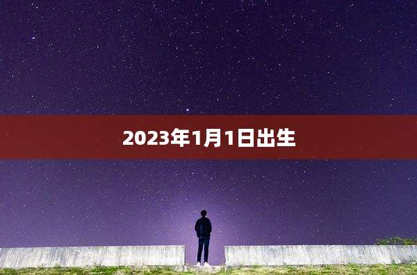 2023年1月1日出生