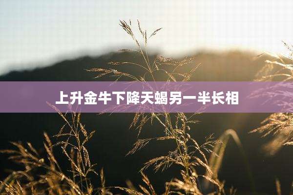 上升金牛下降天蝎另一半长相