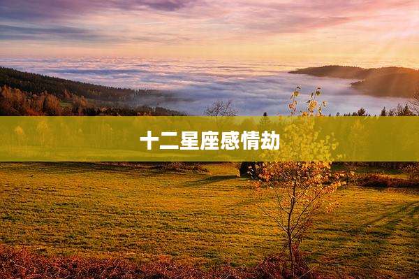 十二星座感情劫