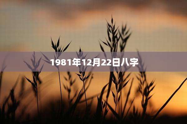1981年12月22日八字