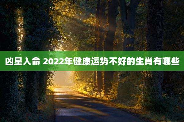 凶星入命 2022年健康运势不好的生肖有哪些