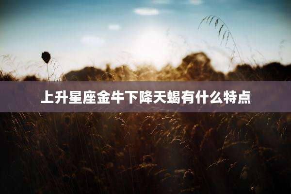 上升星座金牛下降天蝎有什么特点