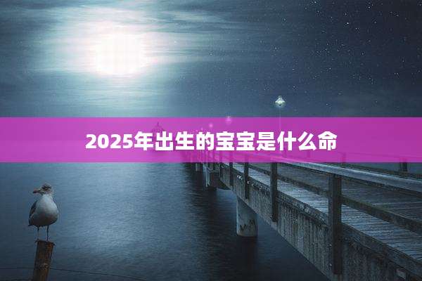 2025年出生的宝宝是什么命