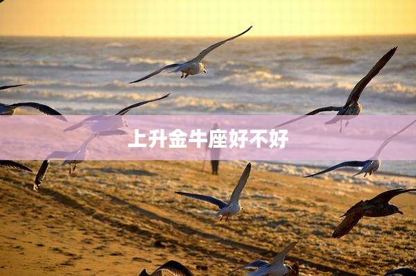 上升金牛座好不好