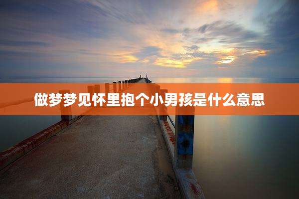 做梦梦见怀里抱个小男孩是什么意思