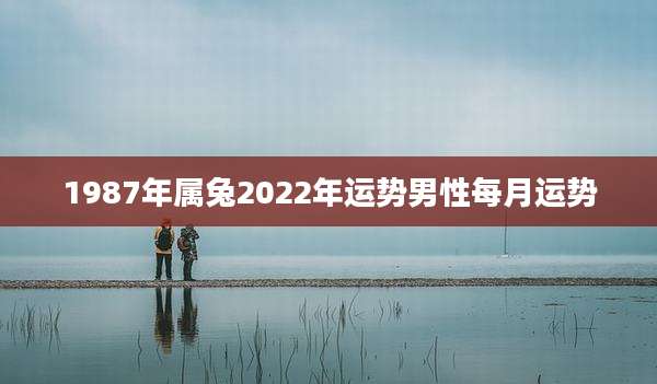 1987年属兔2022年运势男性每月运势