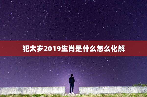 犯太岁2019生肖是什么怎么化解