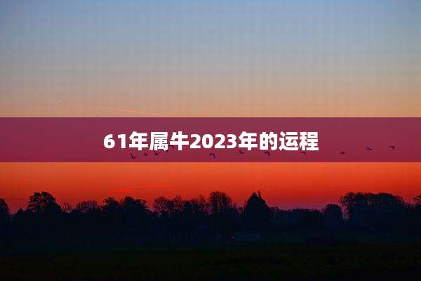 61年属牛2023年的运程