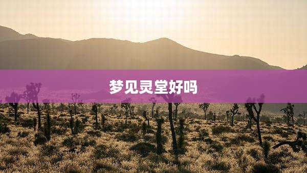 梦见灵堂好吗