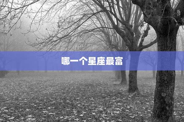 哪一个星座最富