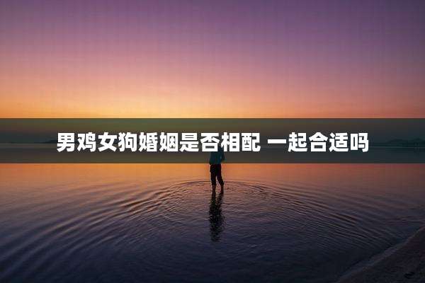 男鸡女狗婚姻是否相配 一起合适吗