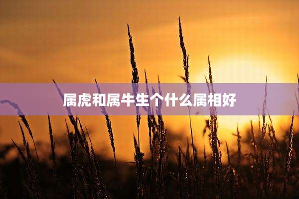 属虎和属牛生个什么属相好