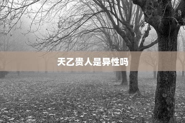 天乙贵人是异性吗