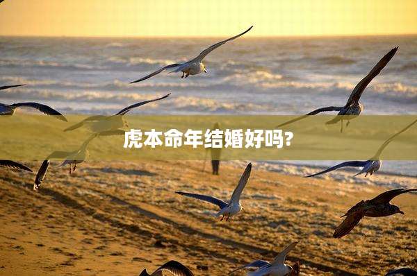 虎本命年结婚好吗?