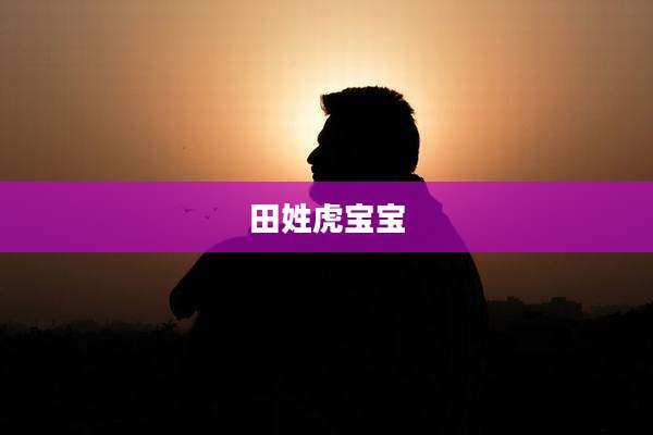 田姓虎宝宝
