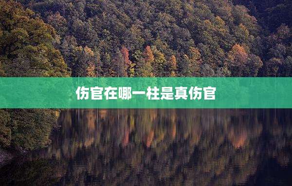 伤官在哪一柱是真伤官