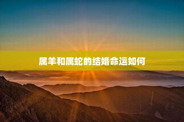 属羊和属蛇的结婚命运如何