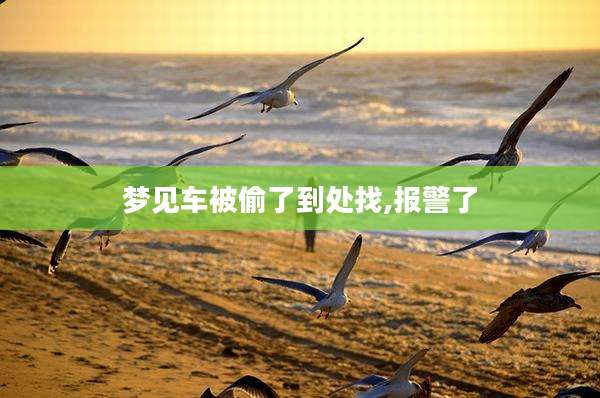 梦见车被偷了到处找,报警了