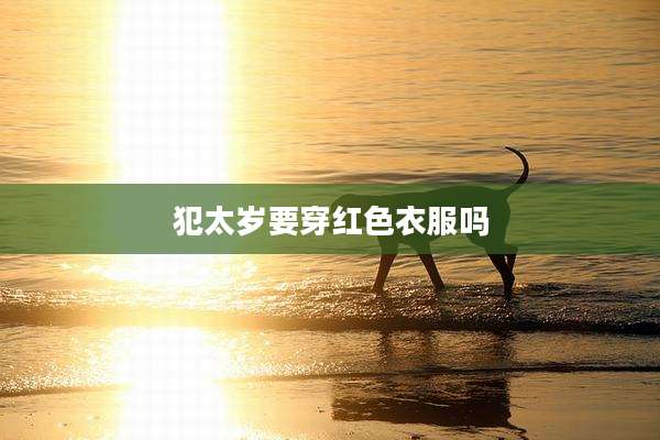 犯太岁要穿红色衣服吗
