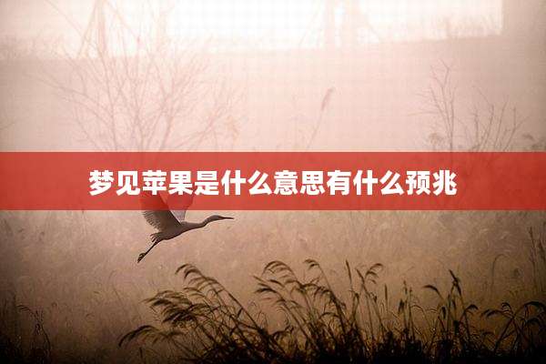 梦见苹果是什么意思有什么预兆