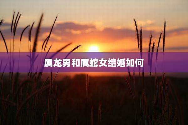 属龙男和属蛇女结婚如何