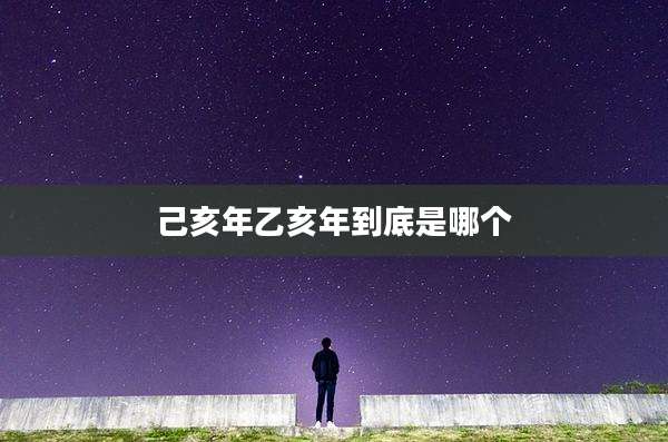 己亥年乙亥年到底是哪个