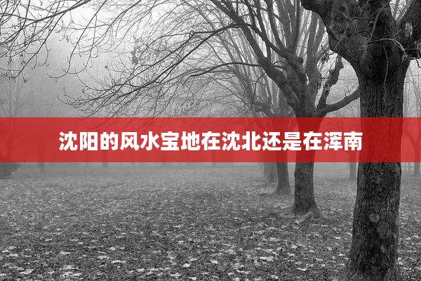 沈阳的风水宝地在沈北还是在浑南
