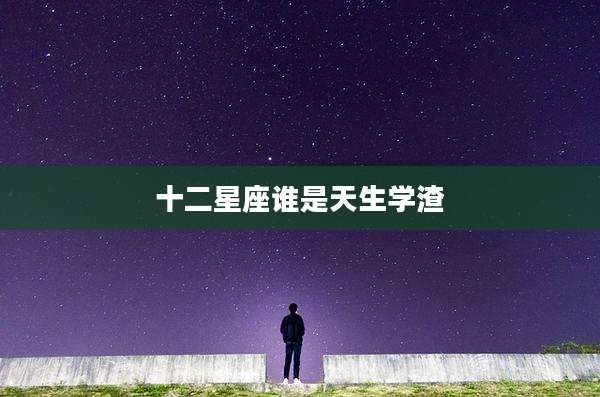 十二星座谁是天生学渣