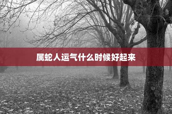 属蛇人运气什么时候好起来