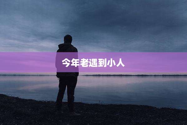 今年老遇到小人
