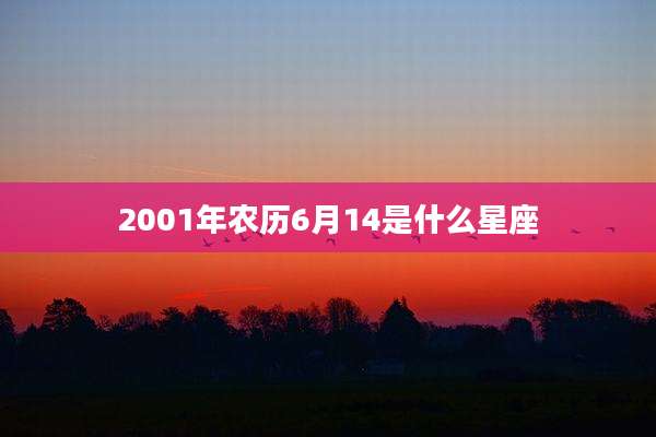 2001年农历6月14是什么星座