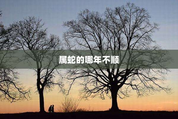 属蛇的哪年不顺