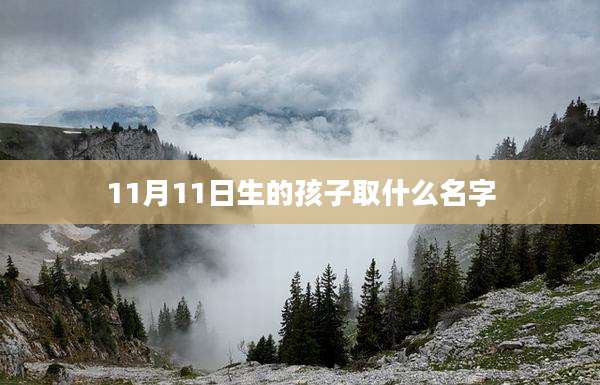 11月11日生的孩子取什么名字
