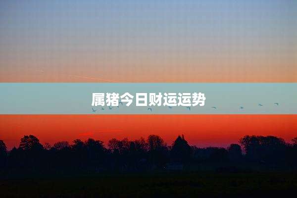 属猪今日财运运势