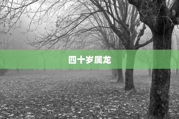 四十岁属龙
