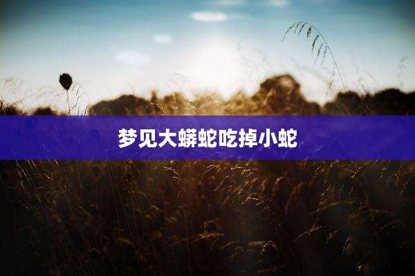 梦见大蟒蛇吃掉小蛇